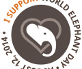 5 Ways to Celebrate World Elephant Day