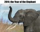 A Year in Review: The Year of the Elephant