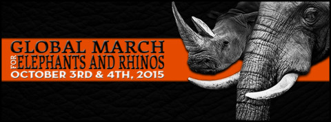 GMFER 2015 Coming to Your City Soon!