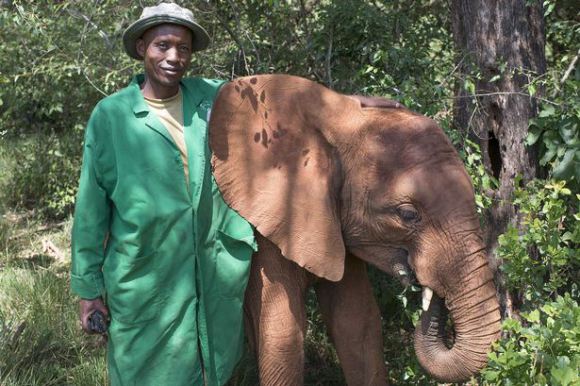 Quanza-a-two-year-old-Amboseli-elephant-3115695