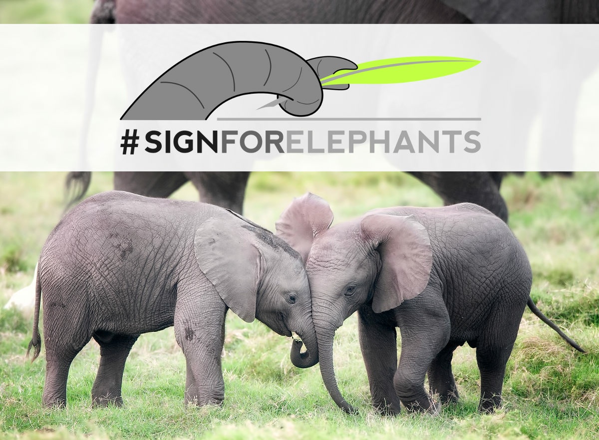 Elephantopia is an organization supporting the Sign for Elephants campaign