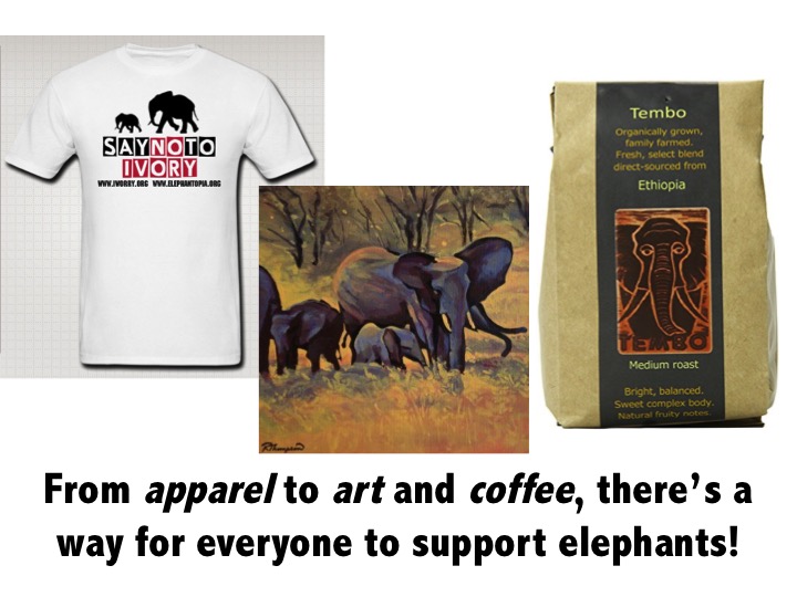 The Elephant Shop