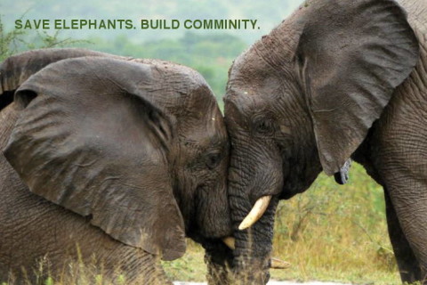 Elephantopia: changing the world one elephant at a time