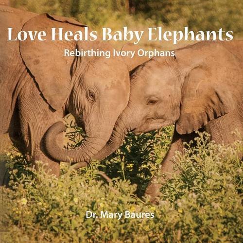 Love Heals Baby Elephants